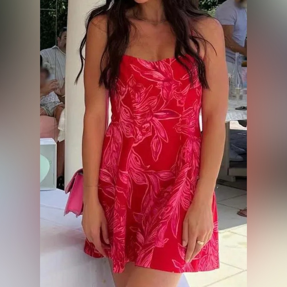 Zara Red and Pink Floral Mini Dress